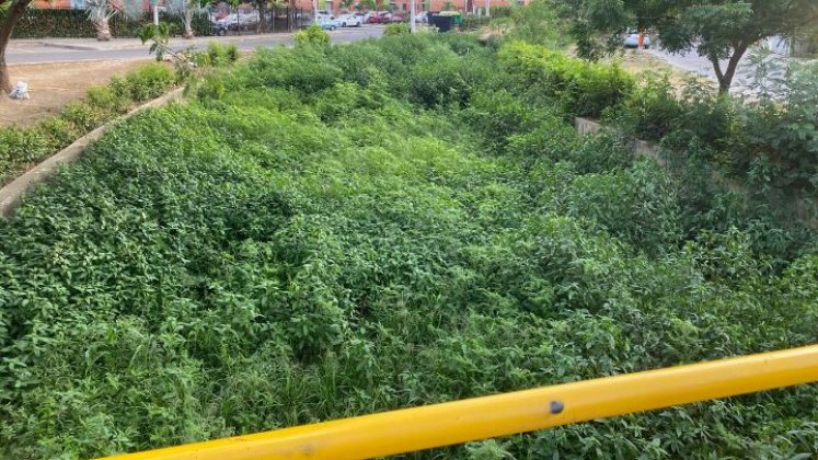 Son dos los canales de aguas lluvias que atraviesan a La Esmeralda y que necesitan de una intervención. 