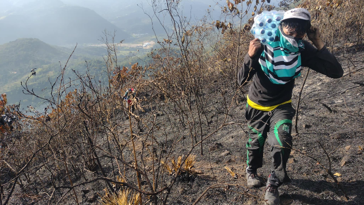 Más de 30 hectáreas se consumieron en el incendio. 