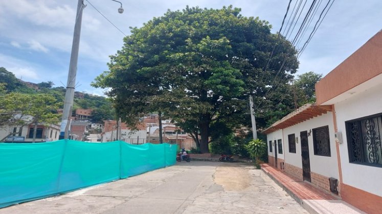 Una comisión de la secretaría de Medio Ambiente adelanta una inspección ocular a los árboles de Ocaña. / Foto cortesía: La Opinión.