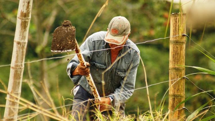 Las cifras demuestran que la adjudicación y formalización de tierras está lejos de cumplirse en los 4 años que restan para su implementación. /Foto archivo