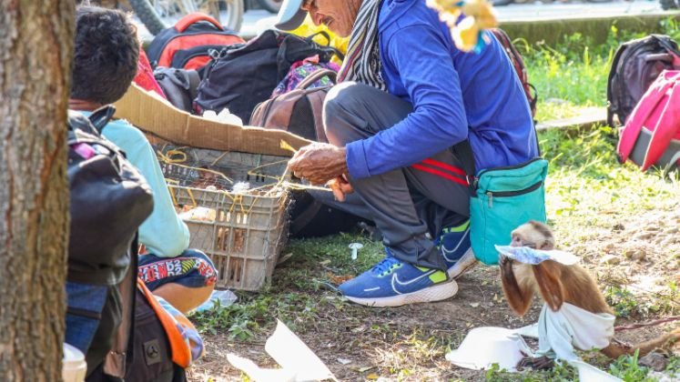 Los rostros de la violencia. / Foto: Cortesía / La Opinión