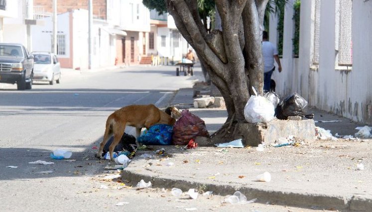 BASURAS EN CÚCUTA