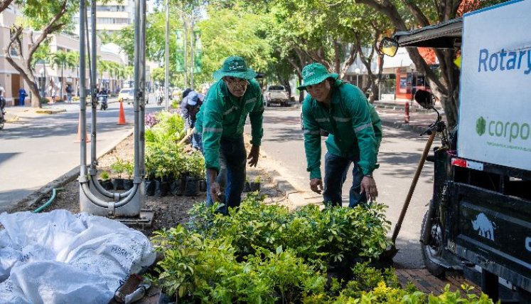 Así va el embellecimiento de la Avenida Cero. / Foto: Cortesía.