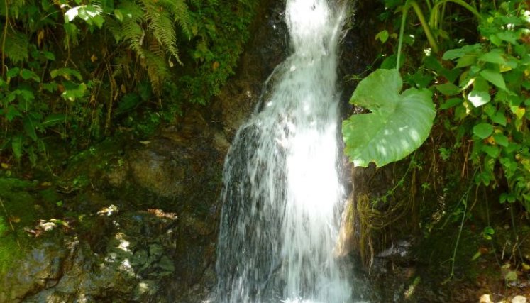 Hoy se celebra el Día Mundial del Agua./Foto Archivo