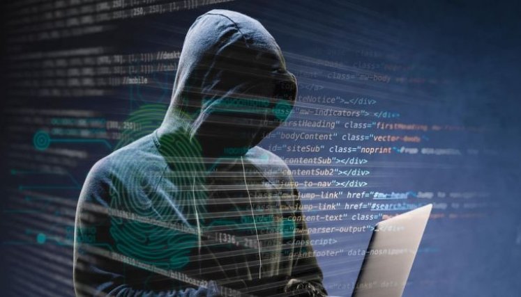 DELINCUENTES CIBERNETICOS