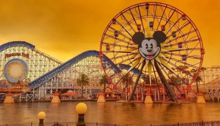 Disney. 