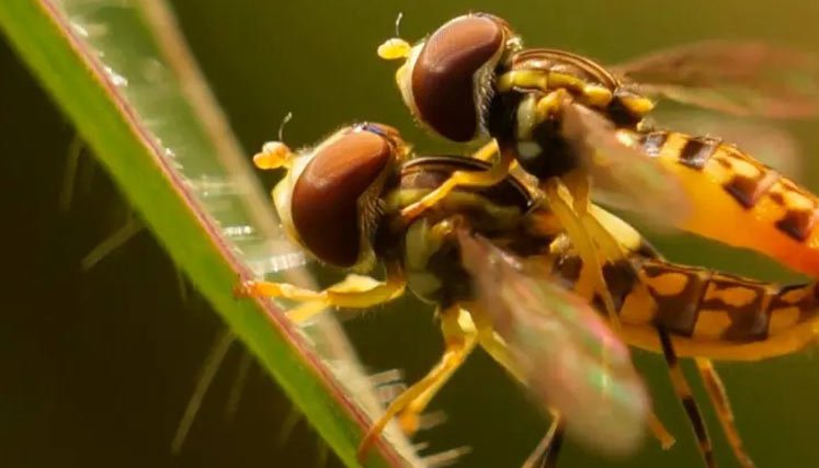 Naturaleza