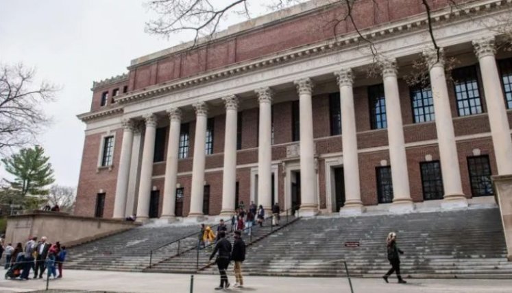 Universidad de Harvard. 
