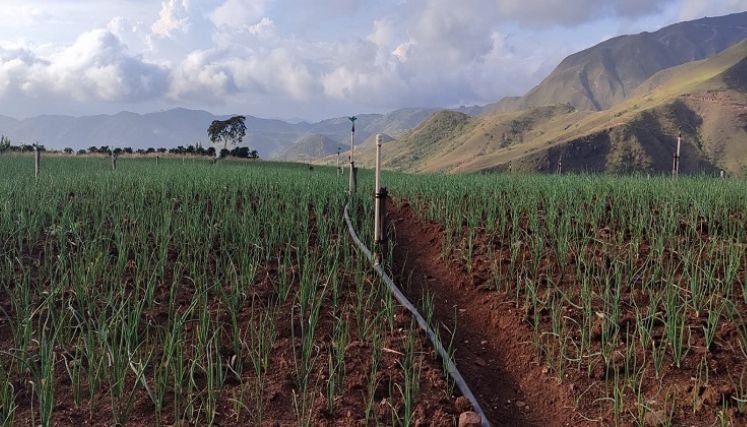 Los reservorios de agua son fundamentales para mejorar la producción agropecuaria en el Catatumbo.