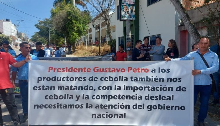 Los cebolleros de la provincia de Ocaña y zona del Catatumbo volverán a insistir al presidente la salvaguardar el producto en tiempo de cosecha.