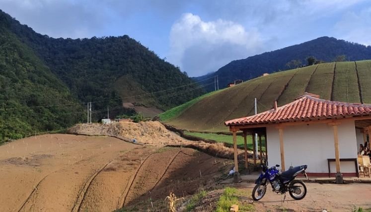 Los cebolleros de la provincia de Ocaña y zona del Catatumbo volverán a insistir al presidente la salvaguardar el producto en tiempo de cosecha.