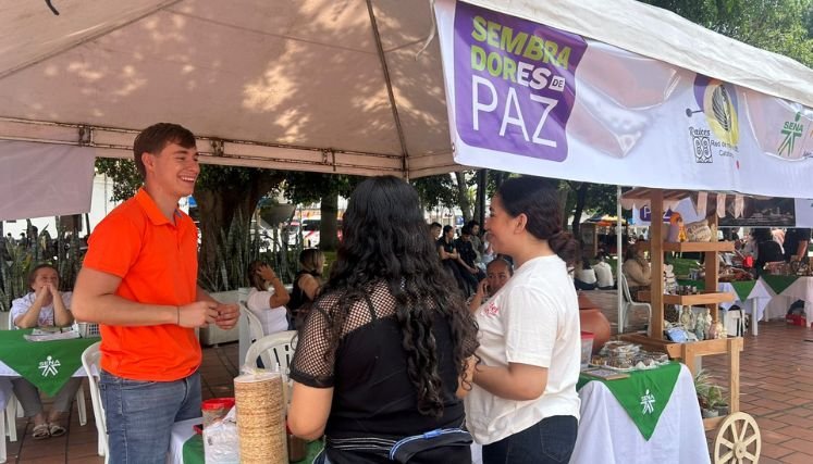En aras de restituir el tejido social varias entidades apoyan a las víctimas de la violencia a través de los emprendimientos.
