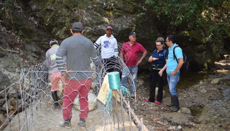 Denuncian a intrusos en la reserva forestal del acueducto independiente.