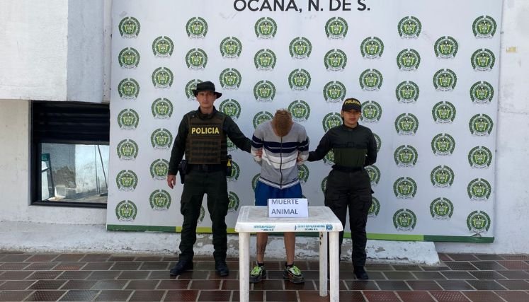 La muerte de una canina en el asentamiento humano Tierra Santa de Ocaña genera conmoción entre la comunidad.