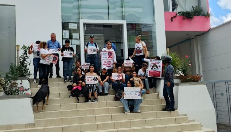 La muerte de una canina en el asentamiento humano Tierra Santa de Ocaña genera conmoción entre la comunidad.