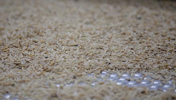 Multa-a-comercializadora-arroz.