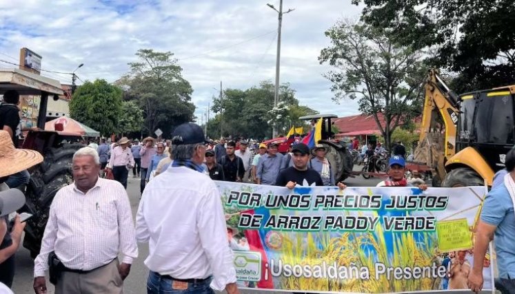 PARO ARROCERO. 