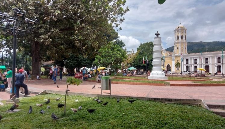 Algunos habitantes en condiciones de calle maltratan a las palomas del parque principal de Ocaña.
