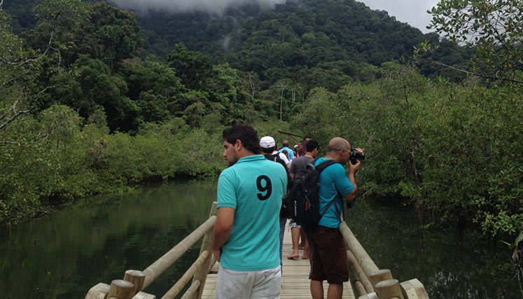 Parques-naturales-colombia