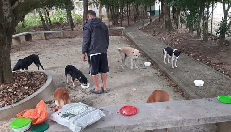 En Ocaña es bastante elevado los índices de maltrato animal y los defensores exigen castigos ejemplares.