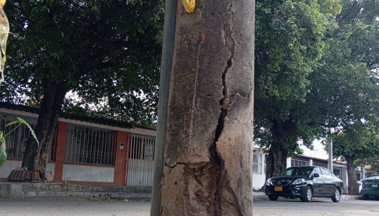 Poste-Quinta Bosch.