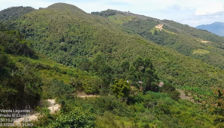 En el marco del Plan Catatumbo, avanza la formalización de tierras para campesinos en Zonas de Reserva Forestal.