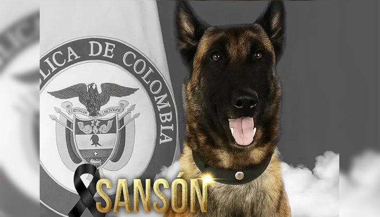 Sansón