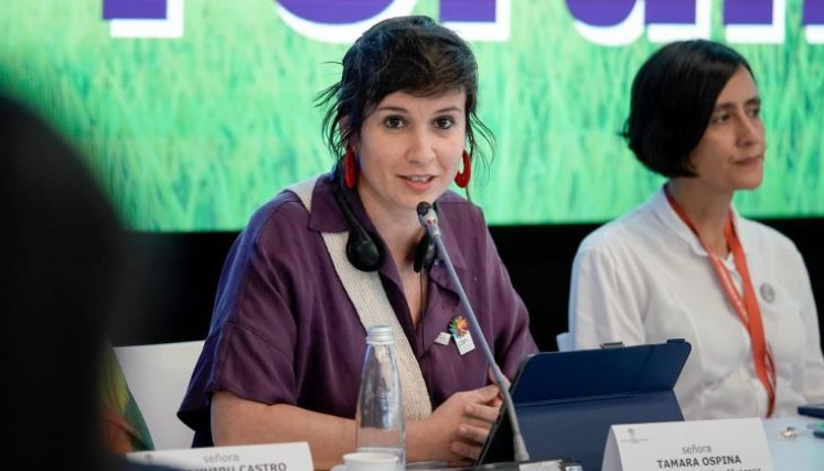 Viceministra Mujeres. 