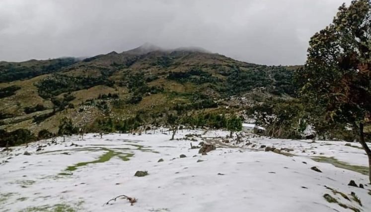 El municipio más afectado con las primeras precipitaciones es Ábrego, debido a las granizadas.