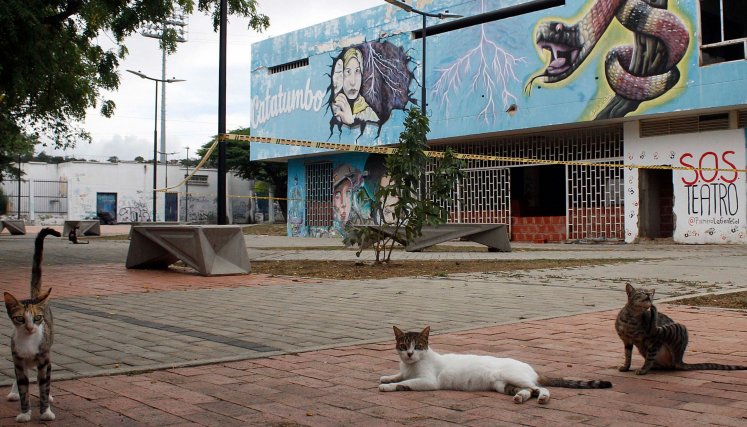 Animales-teatro