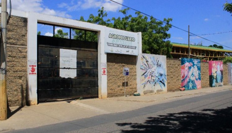 Comunidad educativa denuncia malos olores, y zancudos