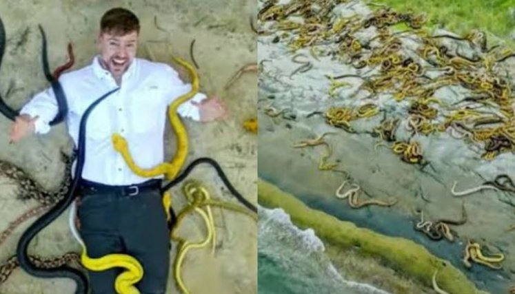 MrBeast