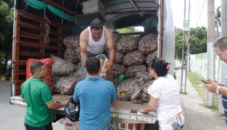 Papatón en Pinar del Río.