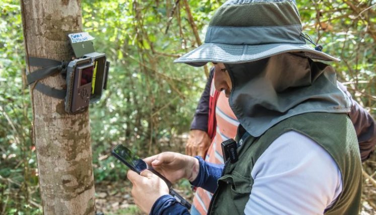 El monitoreo en el Bosque Seco Tropical Pozo Azul es permanente/Foto cortesía Corponor