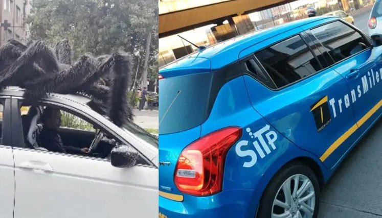 decoraciones-halloween