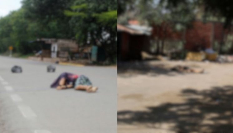 Cadáveres 14 de diciembre