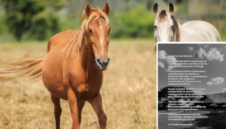 murió una niña luego de caer de un caballo