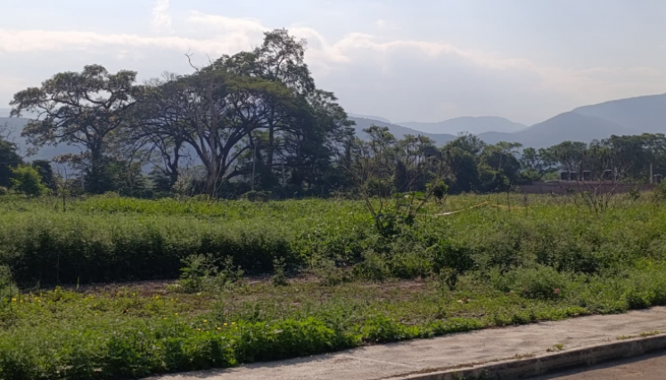 asesinado a puñaladas en La Parada