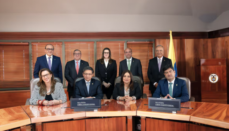 Corte Constitucional (2).png