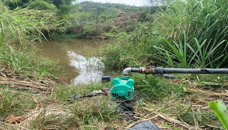 Campesinos de la zona del Catatumbo comienzan a sentir los rigores de las heladas.