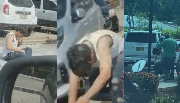 Emergencia en colegio de Cúcuta por ataque de abejas