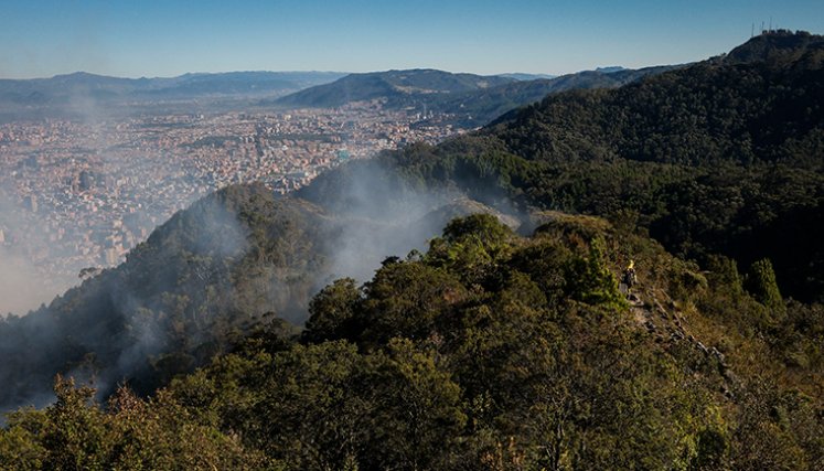 incendios-forestales