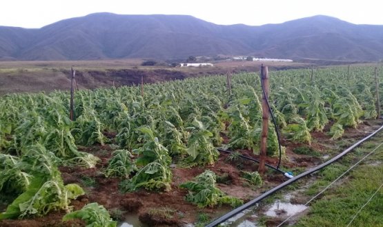 Campesinos reciben capacitación sobre finanzas agropecuarias para mejorar las condiciones de vida./ Foto cortesía