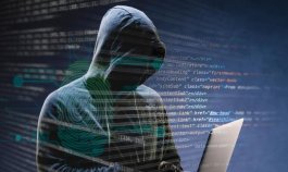 DELINCUENTES CIBERNETICOS