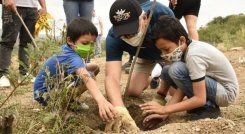 La siembra fue liderada por el alcalde Jairo Yáñez. (Foto: Cortesía)