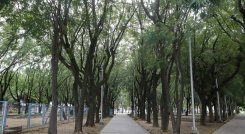 Prados del Norte cuenta con 5 escenarios públicos, entre espacios verdes y deportivos, a los que acude la comunidad. / Fotos: Luis Alfredo Estévez 