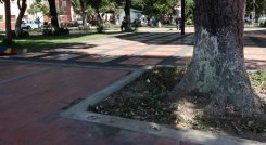 Es la sexta caneca que se roban en el parque Colón. 