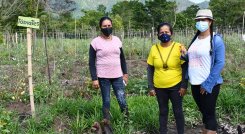 mueres de la asociación de la vereda El Suspiro. /foto cortesía GIZ