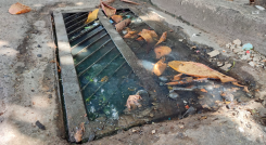 Las aguas negras rebosan la alcantarilla