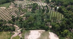 Corregimiento de Palmarito./Foto cortesía